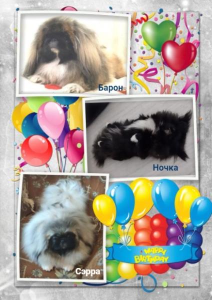 Прикрепленное изображение: gjow3BgEsVezWJsGFp7eav7AQ4_u6ur8NF47Wq8LjFP3tEC8HJrqbW50p8joboxyX9CQV7tVVHhQTwsHiyvnBCvS.jpg